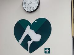 -瑞派康怡24h宠物医院·犬猫医疗中心·微创绝育(瑞景分院)