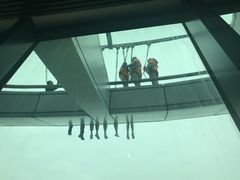 -澳门旅游塔360°旋转餐厅(南湾湖广场店)