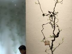 -翡翠江南(国贸商城店)