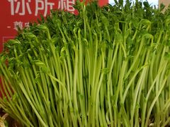 -粤小煲鲜汤猪肚鸡(丹尼斯二天地店)