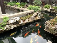-金海华·华宴江南(斜塘店)