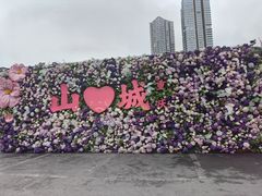 -重庆十八梯传统风貌区