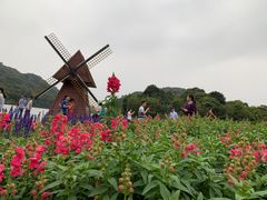 -广州市石门国家森林公园