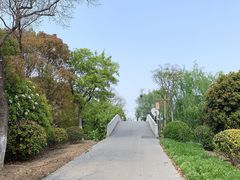 -梁鸿国家湿地公园