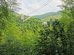 -山沟沟景区