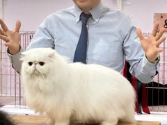 -香港会议展览中心演讲厅