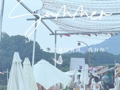 -龙坞茶村