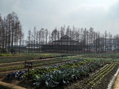 -乌村