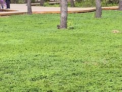 -黑龙江省森林植物园