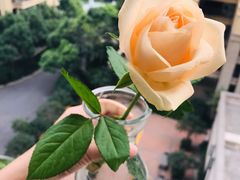 -缦云里花园餐厅