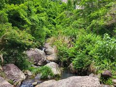 -十九峰景区-倒脱靴