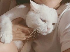 -沐沐家宠物(成寿寺店)