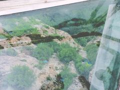 -帽儿山风景区