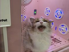 -乐琪宠物医院·犬猫专科·骨外科·急重症