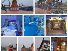 -上海海昌海洋公园