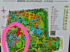 -上海共青森林公园