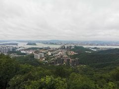 -九江双蒸博物馆