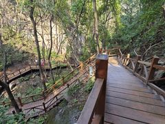 -大岭沟猕猴桃谷风景区