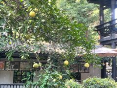 -王家渡火锅(三苏祠店)