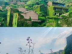 -枸杞岛