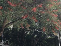 -泸州白糕(慈善路店)