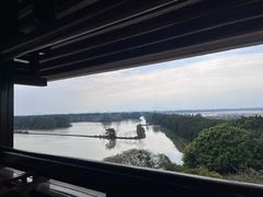 -大湾区中央湿地公园