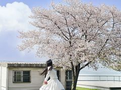 -蠡湖大桥公园
