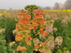 -中国天府农业博览园