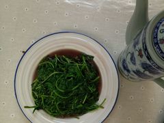 菊叶苋菜-吉事利茶餐厅