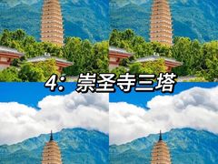 -大理.老字号渝记酸萝卜乌鱼(古城总店)