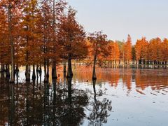 -白鹭湾湿地公园