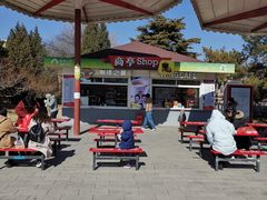 -朝阳公园游乐园