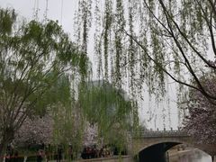 -海棠花溪(元大都城垣遗址公园)