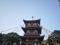 -庐山风景名胜区-东林大佛