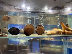 -德米火锅(深圳湾1号旗舰店)