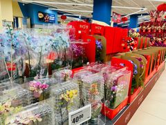 -盒马X会员店(王府井奥莱UP TOWN店)