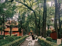 -南岳衡山风景名胜区-南岳大庙