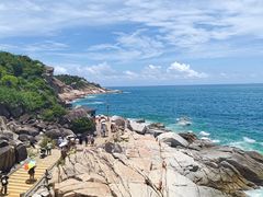 -广东惠东海龟国家级自然保护区