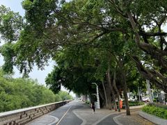 -宝安西湾红树林湿地公园