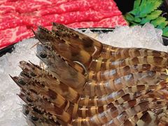 -官也街澳门火锅(新源里店)