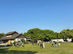 -贡湖湾湿地公园