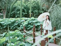 -陈家山荷花公园