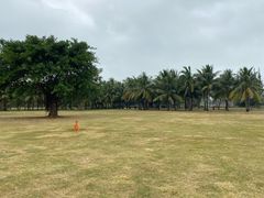 -白沙门生态公园