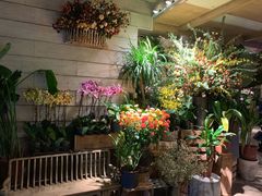-春暖花开(西溪店)