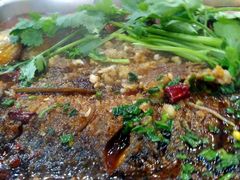 -老马家·舌尖上的西塘美食