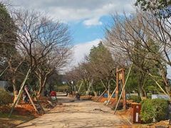 -无锡梅园公园