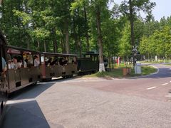 -黄海国家森林公园