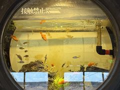 -陶野咖啡·面包披萨