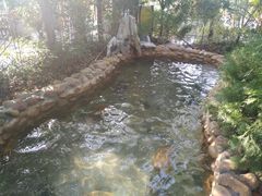 -深业半汤御泉庄温泉