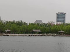 -莲花池公园